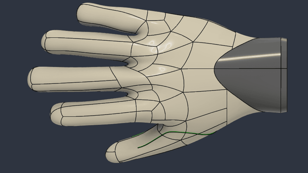 CAD model of the hand, back view